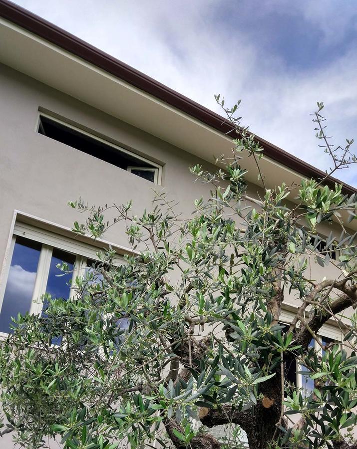 Bed and Breakfast La Locanda Francigena Lucca Exterior foto